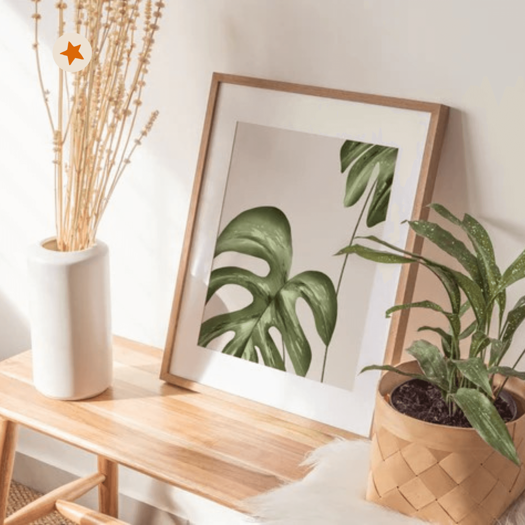 Monstera Variegata Print