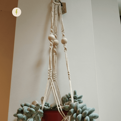 Cream and Gold Macrame Planter